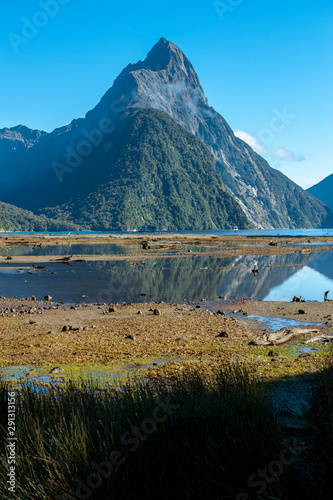 Milford Sound￨New Zealand's South Island