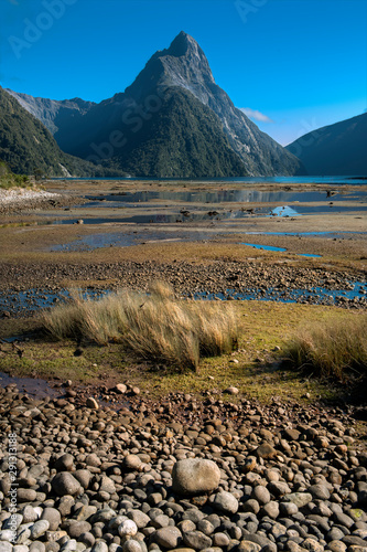 Milford Sound￨New Zealand's South Island