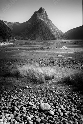 Milford Sound in New Zealand's South Island