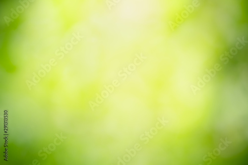 Abstract lights of green nature using as background or wallpaper concept.