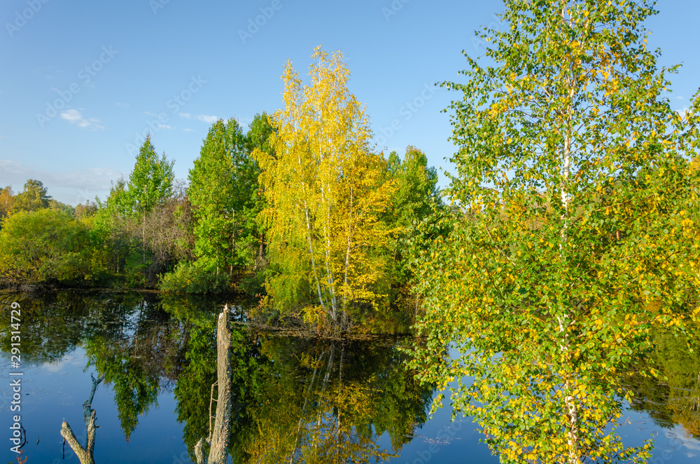 Lake in the forest with trees yellow and green. Autumn forest. Lake in the forest with trees yellow and green. Autumn forest.