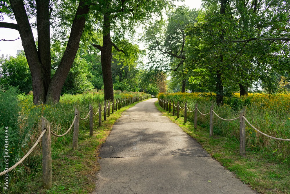 Chicago Lakefront Trail at a Park in Uptown Chicago with a Rope Fence and Plants with Sunlight