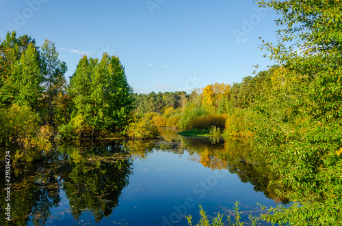 Lake in the forest with trees yellow and green. Autumn forest.