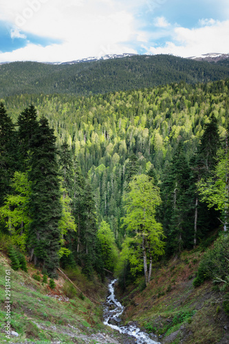 Mountain river in the mountains ,Borjomi ,Georgia