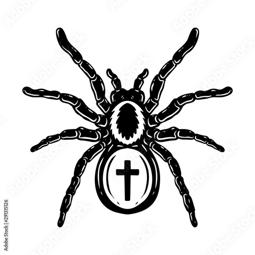 Spider illustration in engraving style. Halloween theme. Design element for poster  card  banner  emblem  sign. Vector illustration
