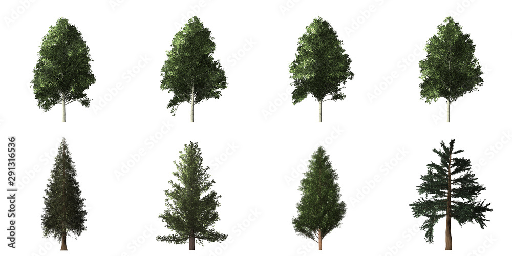 Fototapeta premium Collection of isolated trees on white background