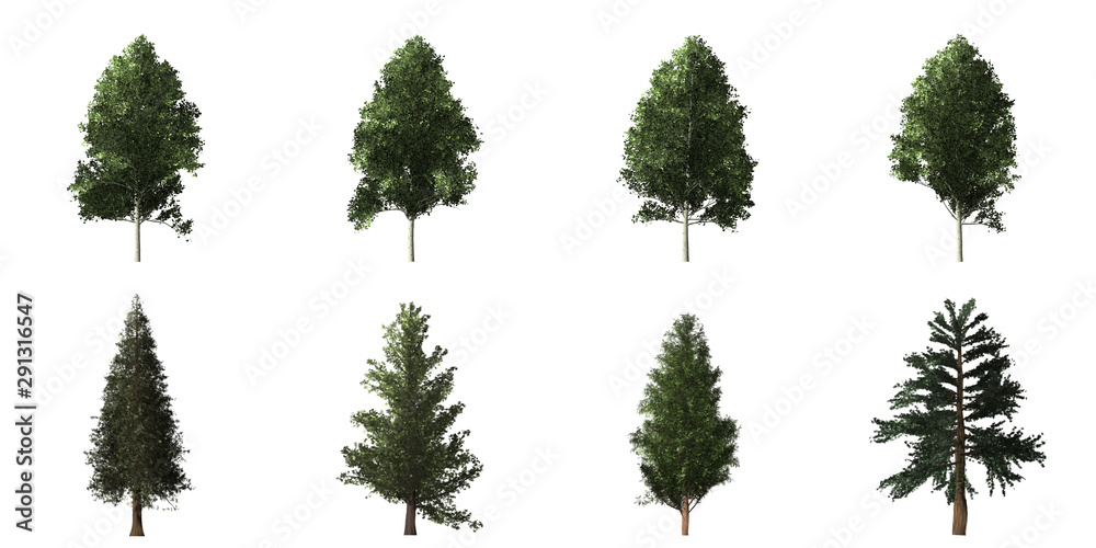 Fototapeta premium Collection of isolated trees on white background