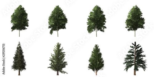 Collection of isolated trees on white background