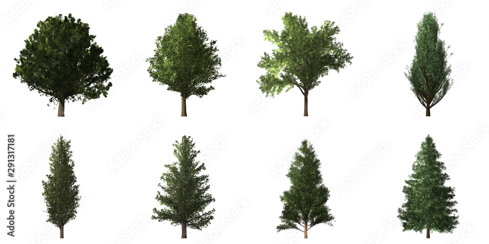 Collection of isolated trees on white background