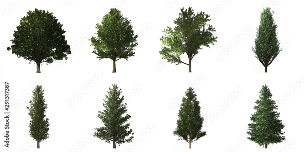 Fototapeta premium Collection of isolated trees on white background