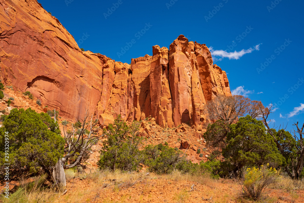 Fototapeta premium Sheer Sandstone in Long Canyon