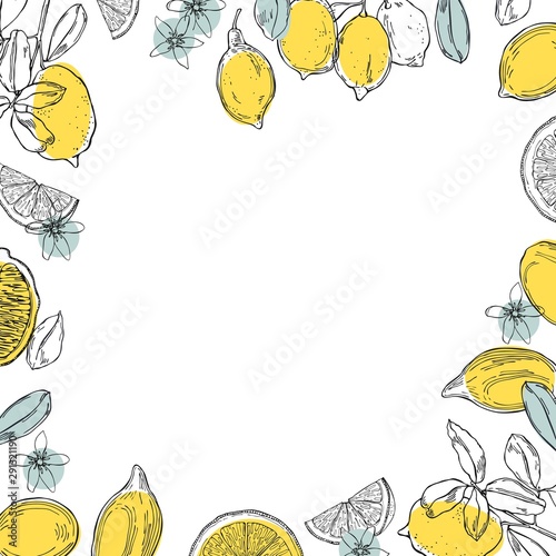 Hand drawn lemons. Fruits, flowers and leaves. Vector background.