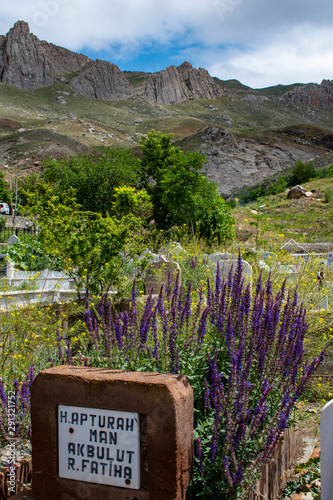 Fototapeta Naklejka Na Ścianę i Meble -  Dogubayazıt, Turkey, Middle East: tombs, tombstones and flowers in the small cemetery beside the little mosque near the famous Ishak Pasha Palace and  the ancient castle of Old Beyazit 