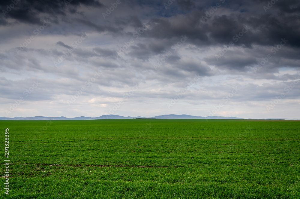 Fototapeta premium sunset and storm background