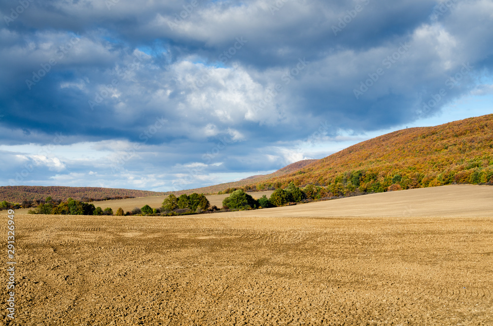 brown field and clouds background