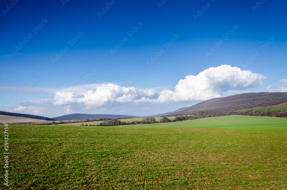 Fototapeta premium blue sky and clouds