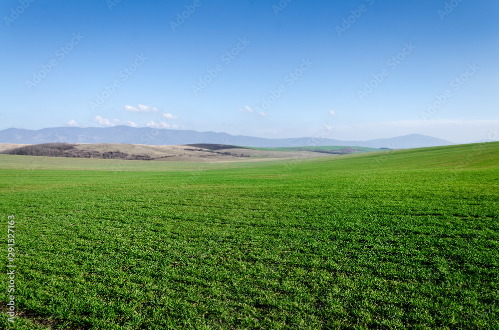 blue sky and clouds