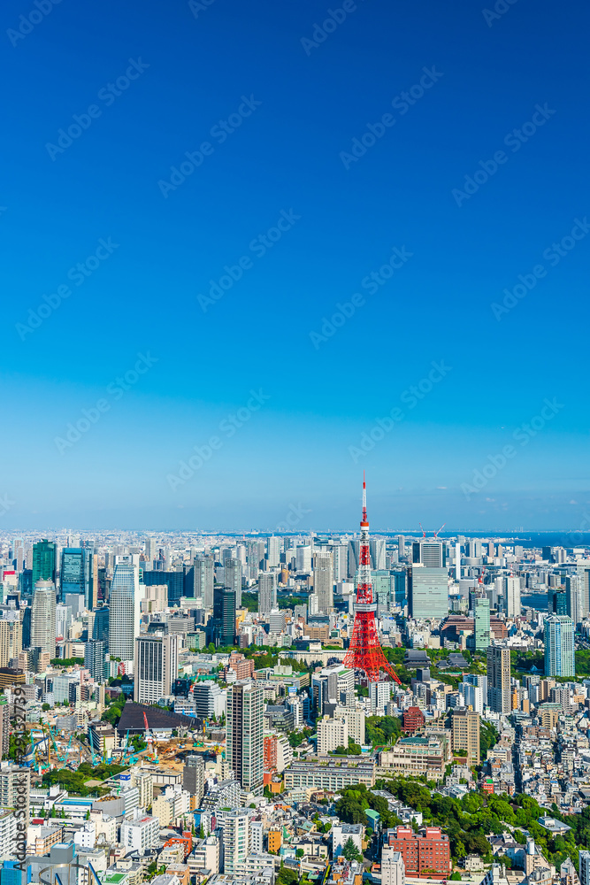 Fototapeta premium Sceneria Tokio Panoramę miasta Tokio, Japonia.