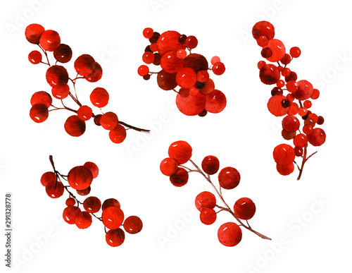 Set of red berries on branches hand drawn in watercolor isolated on a white background. Design elements for patterns, wreathes and frames in floral style. photo