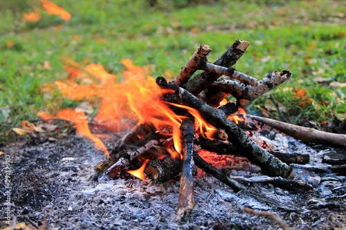 Bonfire in the autumn forest. Tongues of flame, burning dry branches. Close up.