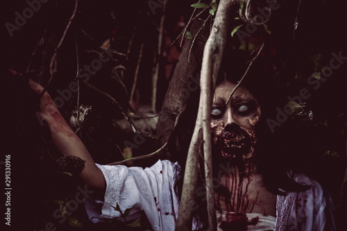 Portrait of asian woman make up ghost face with blood,Horror scene,Scary background,Halloween poster,Thailand people