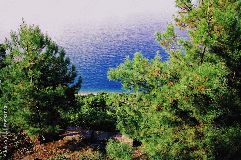Top view of the Mediterranean pines and the Black Sea from the coast of Abkhazia at an altitude of 330 meters at sea level on a sunny day