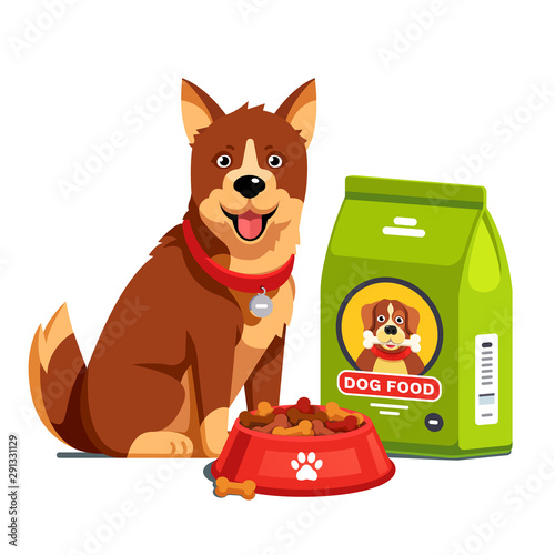 Dog sitting next to dry food bowl and bag package