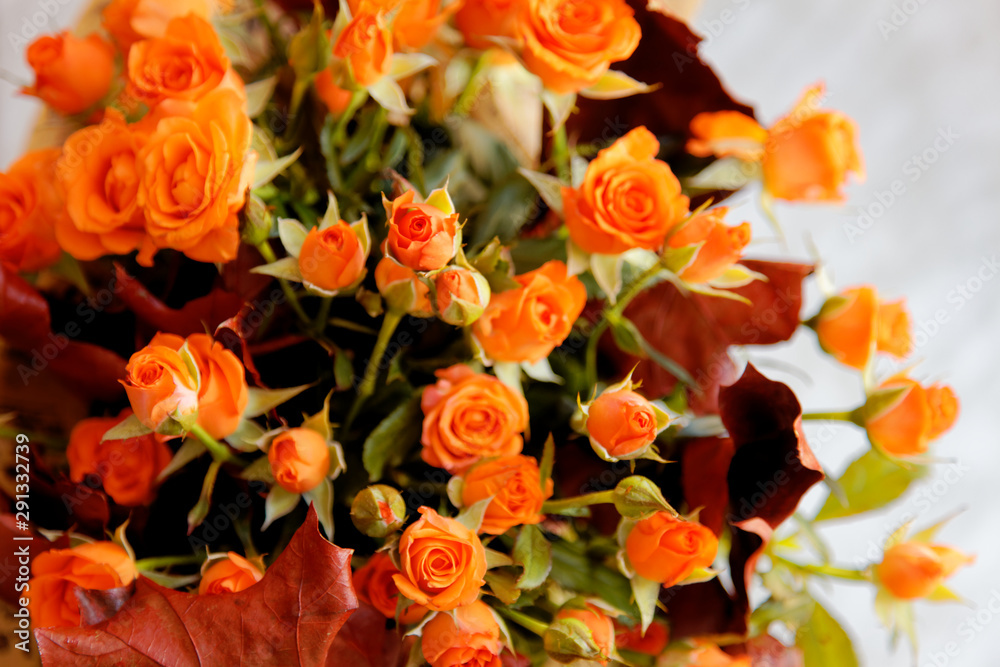 Close-up of yellow roses. Selective focus and shallow depth of field Close-up of yellow roses. Selective focus and shallow depth of field
