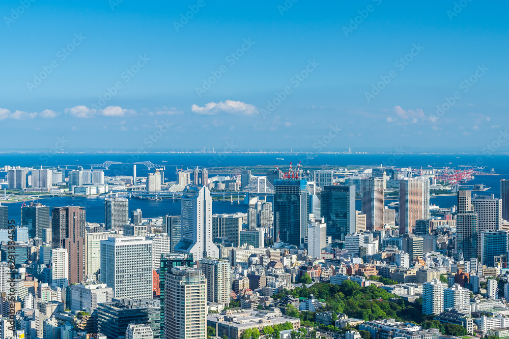Obraz premium 東京の風景 Tokyo city skyline , Japan.