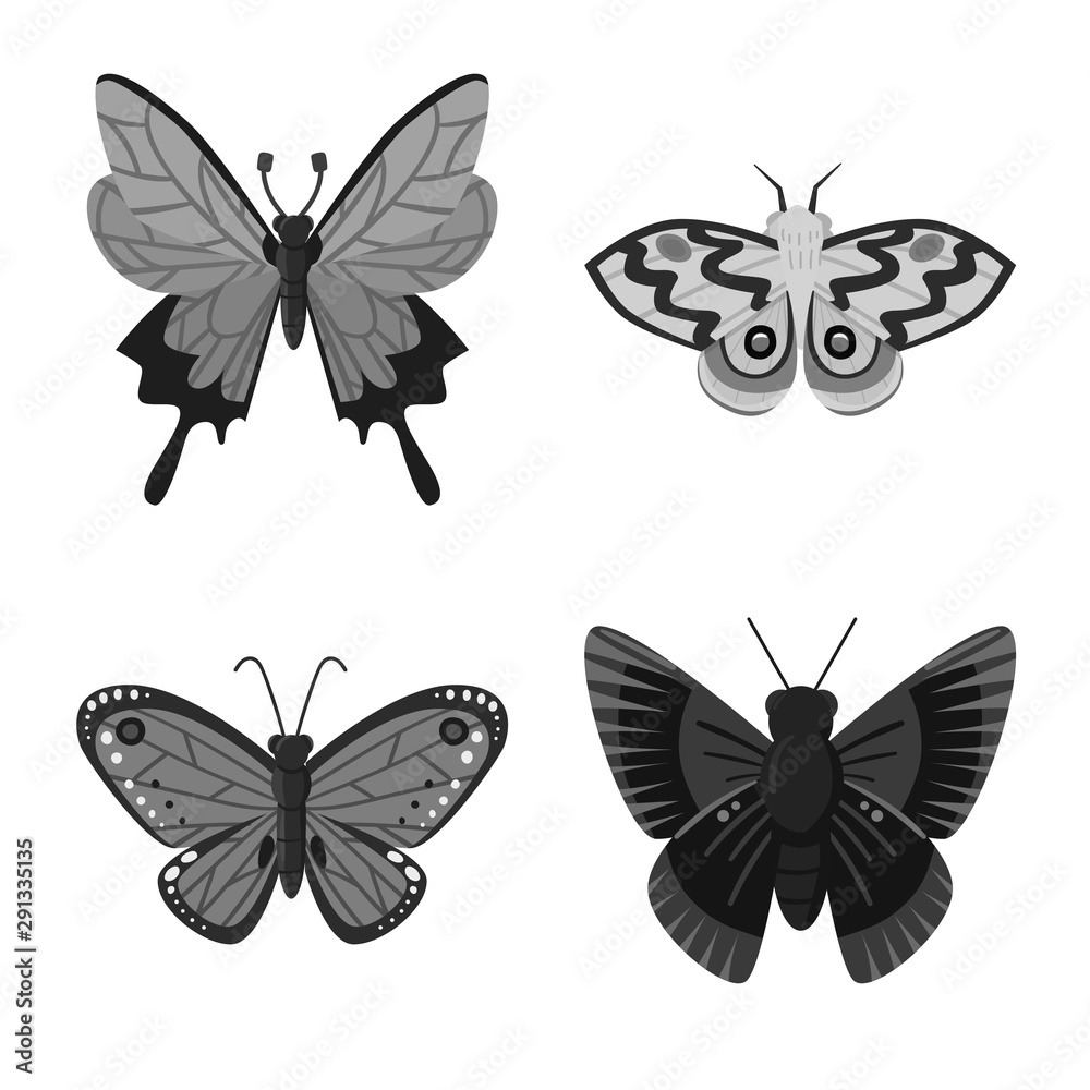 Vector illustration of fly and insect sign. Set of fly and botanic stock vector illustration. Vector illustration of fly and insect sign. Set of fly and botanic stock vector illustration.