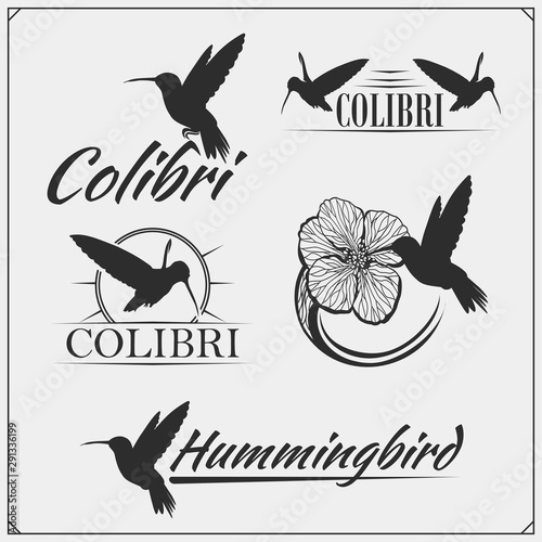 Hummingbird colibri bird silhouettes, logos, emblems and design elements. 
