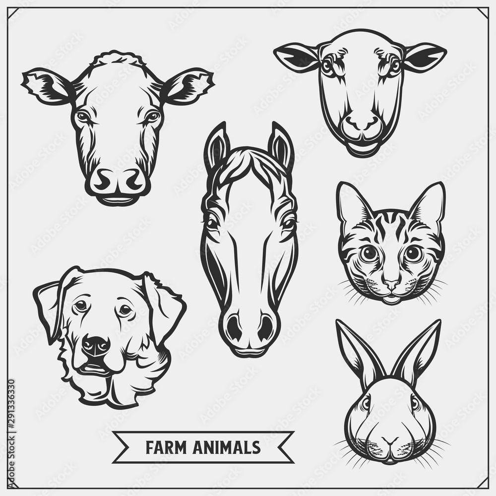 Obraz premium Set of farm animals and pets. Template for meat market, store, market and packaging.