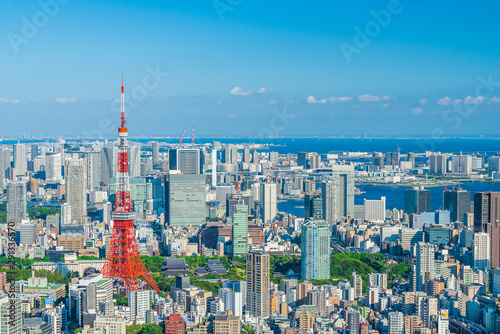                 Tokyo city skyline   Japan.
