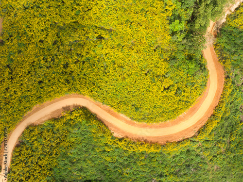 Winding road in flower field aerial view landscape for background.Scenics view of Yellow Flower field in countryside.Romantic flower meadow with winding road by drone travel concept