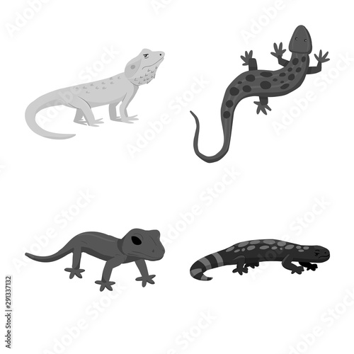 Vector illustration of wild and exotic icon. Collection of wild and fauna stock symbol for web.