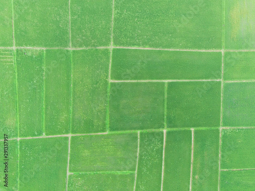 Rice field landscape by drone.Scenic view of rice terrace pattern in countryside for background