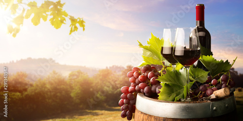 Fototapeta Naklejka Na Ścianę i Meble -  autumn countryside wine background; vine, red wine bottles, wineglass, wine barrel; wine tasting concept