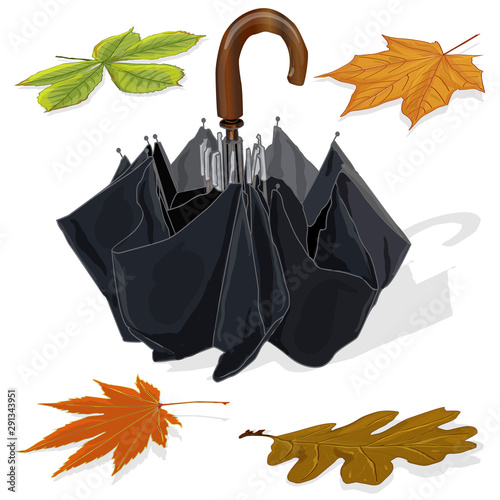 Umbrella for rain. Collection of colorfull dried leaves. Autumn, fall concept.Vector Illustration