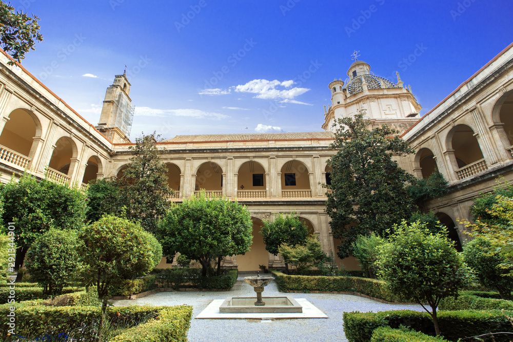 Colegio Mayor Santa Cruz la Real. Granada