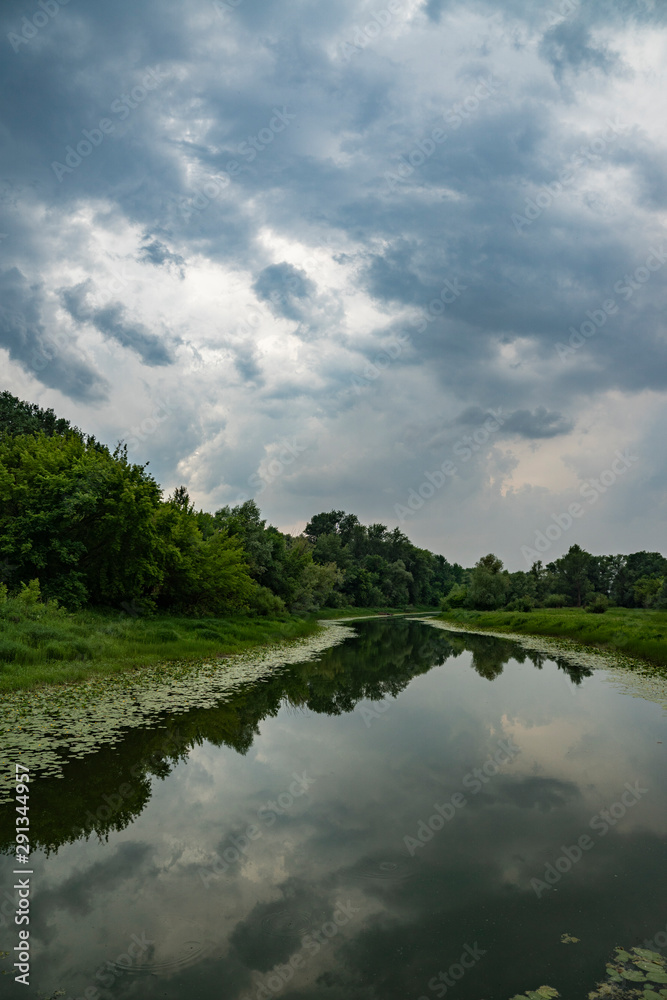 summer, day, travel, walk, rest, nature, forest, trees, green, foliage, river, calm, water, surface, reflection, shore, grasses, gloomy, gray, sky, clouds, bad weather, bad weather, impending, storm, 