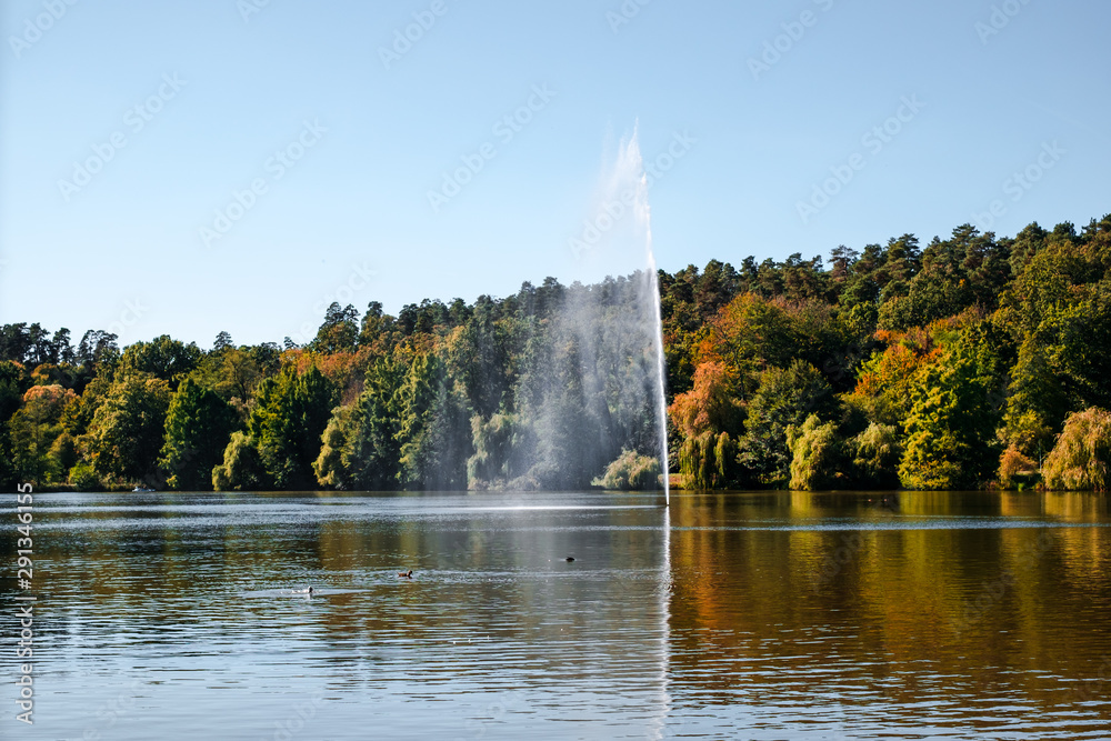 fountain spraying water against the background of forest