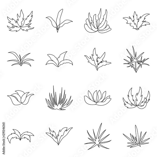 Vector illustration of hedge and shrub sign. Collection of hedge and floral stock symbol for web.