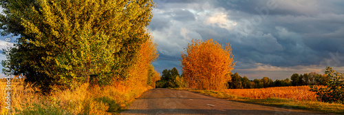 Autumn road in the sun at sunset