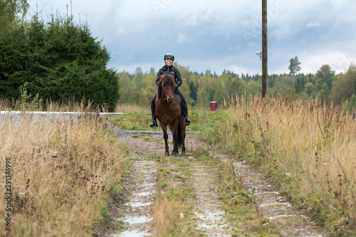 Icelandic horse pose