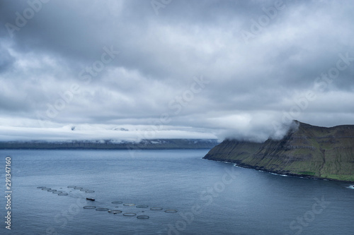 Dramatic landscape of Faroe Islands with grass meadows and rocky cliffs in stormy weather. © 1tomm
