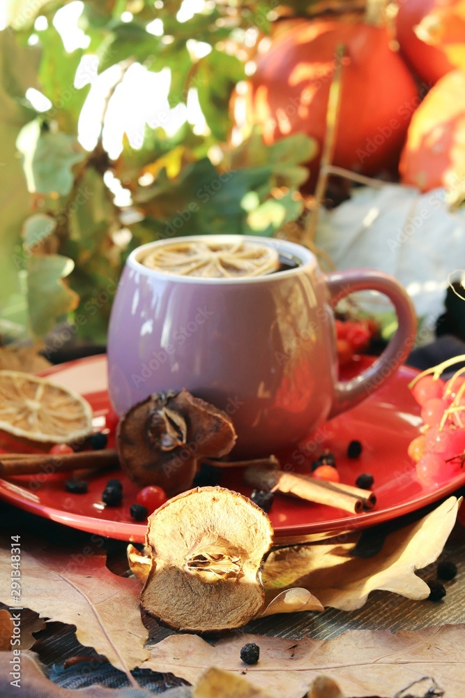 A cup of hot drink, berries, pumpkins, spices, a scarf, autumn leaves on the background of the window, the concept of home comfort, healthy food, tea for the common cold A cup of hot drink, berries, pumpkins, spices, a scarf, autumn leaves on the background of the window, the concept of home comfort, healthy food, tea for the common cold