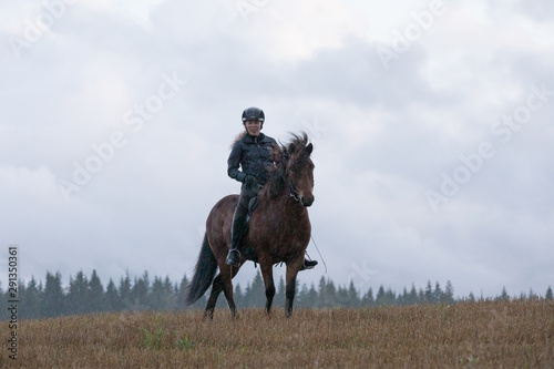 Icelandic horse riding © AnttiJussi