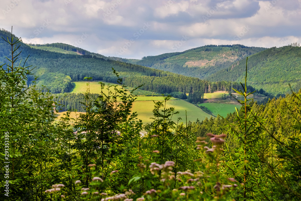 sauerland germany nature scape