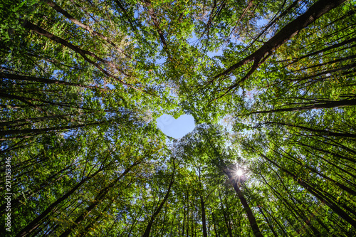 Leaves background concept heart love ecology.