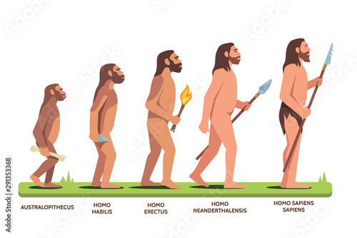 Human evolution stages and man progression stages